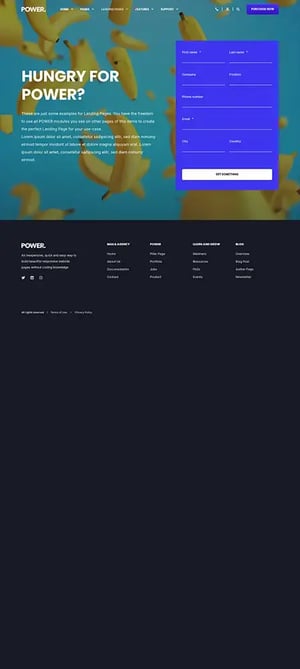 pwr-entry__template-lp-basic