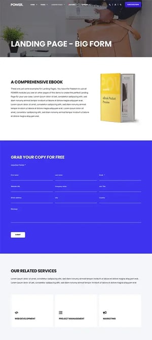 pwr-entry__template-lp-big-form