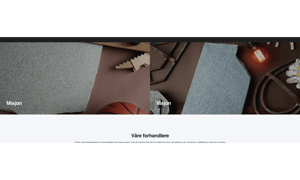 altaskifer-visjon-module-example