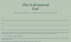 barbacoa-form-example