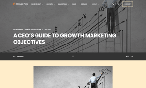 prev-next-orange-pegs